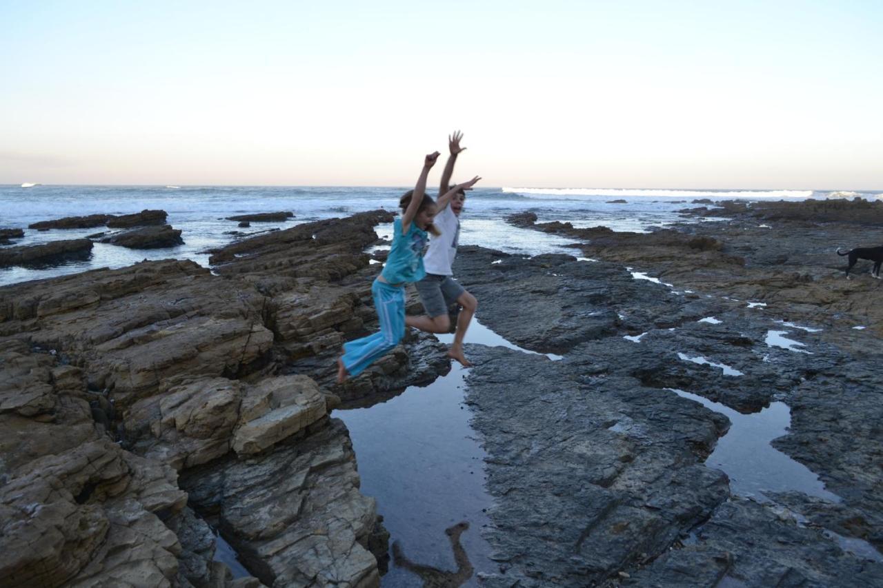 Driftwood Treehouse Hotel Sunrise-on-Sea Bagian luar foto